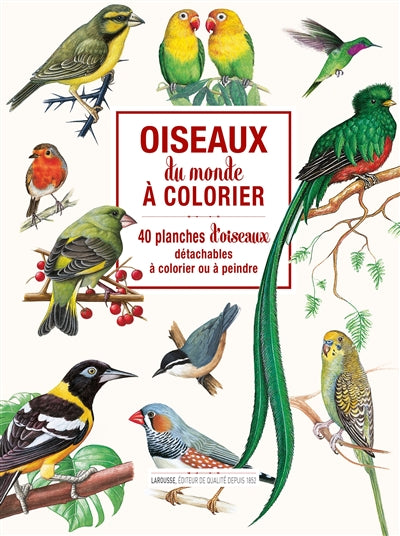OISEAUX DU MONDE A COLORIER
