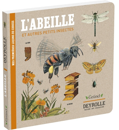 ABEILLE ET AUTRES PETITS INSECTES - DEYROLLE