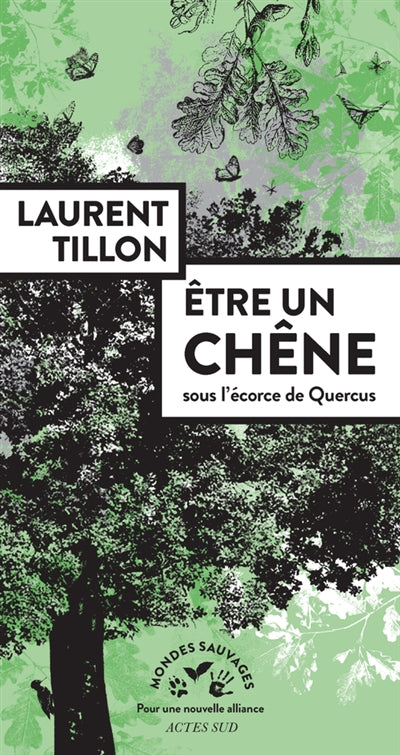 ETRE UN CHENE SOUS L'ECORCE DE QUERCUS