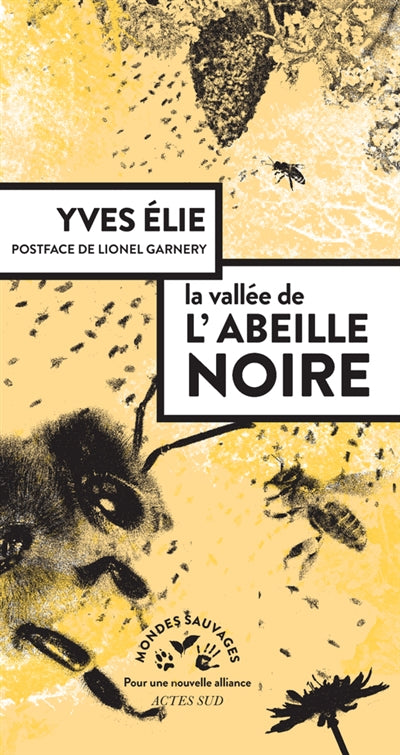 VALLEE DE L'ABEILLE NOIRE