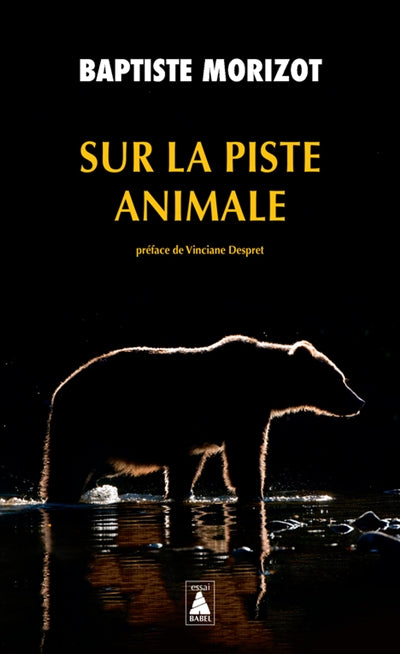 SUR LA PISTE ANIMALE