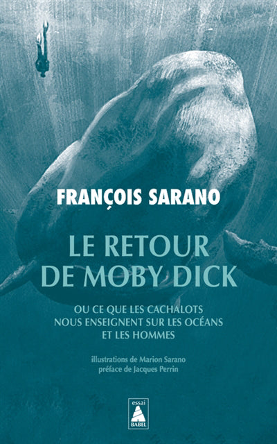 RETOUR DE MOBY DICK OU CE QUE LES CACHALOTS NOUS ENSEIGNENT SUR