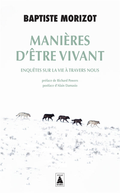 MANIERES D'ETRE VIVANT : ENQUETES SUR LA VIE A TRAVERS NOUS