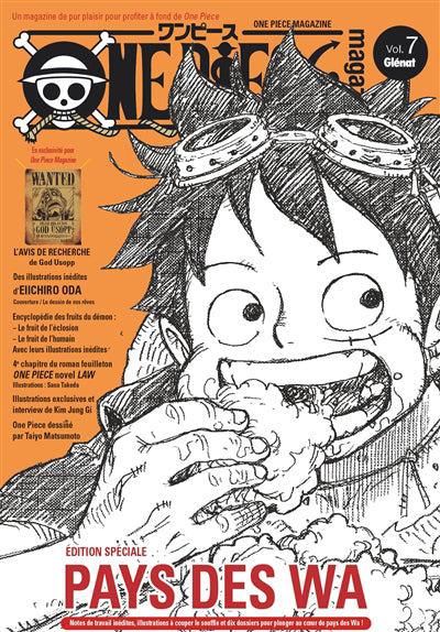 One piece magazine t07