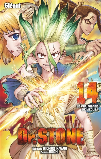 Dr. stone t14