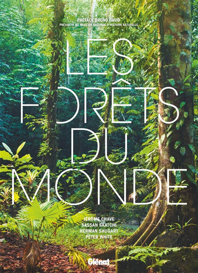 FORETS DU MONDE