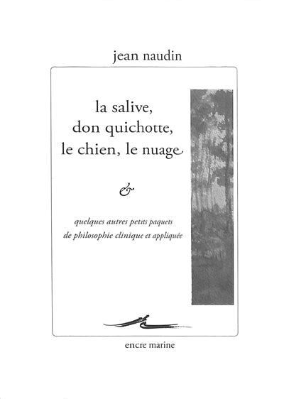 Salive, Don Quichotte, le chien, le nuage