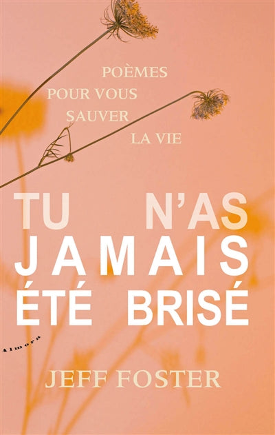 TU N'AS JAMAIS ETE BRISE