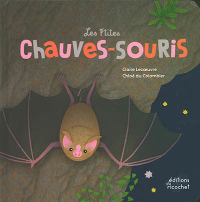 P'TITES CHAUVE-SOURIS