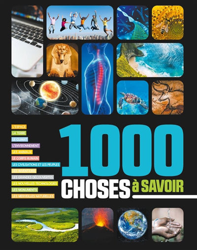 1000 choses à savoir N.E.