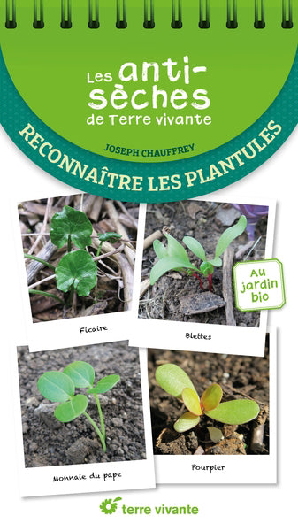 RECONNAITRE LES PLANTULES