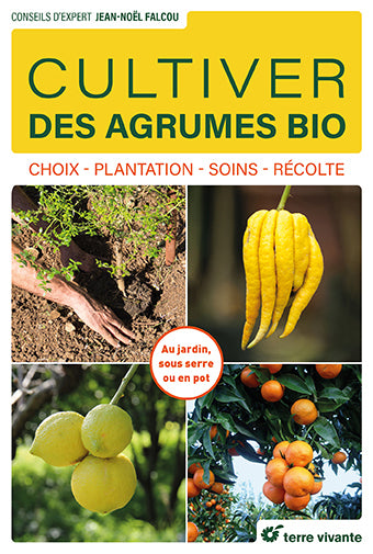 CULTIVER DES AGRUMES BIO