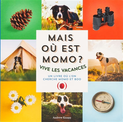 MAIS OU EST MOMO ? VIVE LES VACANCES : UN LIVRE OU L'ON CHERCHE M