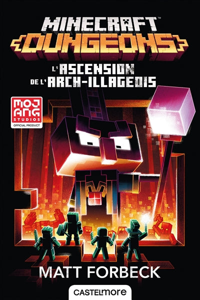 ASCENTION DE L'ARCH-ILLAGEOIS -MINECRAFT