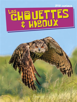 CHOUETTES & HIBOUX