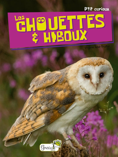 CHOUETTES ET HIBOUX