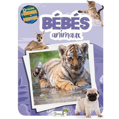 BEBES ANIMAUX