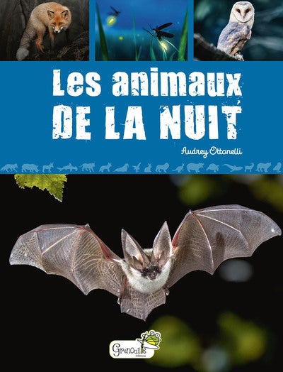 ANIMAUX DE LA NUIT