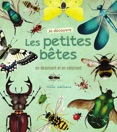 JE DECOUVRE LES PETITES BETES EN DESSINANT ET EN COLORIANT