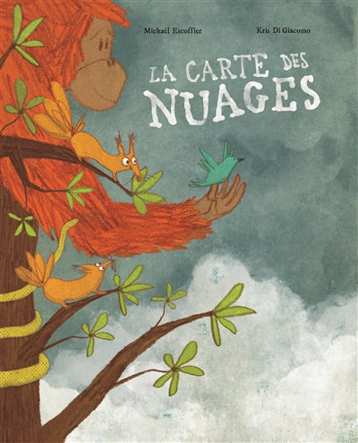 CARTE DES NUAGES