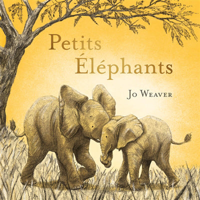 PETITS ELEPHANTS