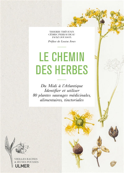 CHEMIN DES HERBES - DU MIDI A L'ATLANTIQUE : IDENTIFIER ET UTI