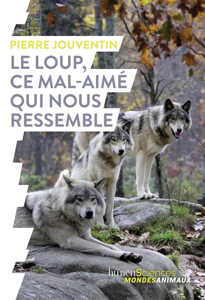 LOUP, CE MAL-AIME QUI NOUS RESSEMBLE