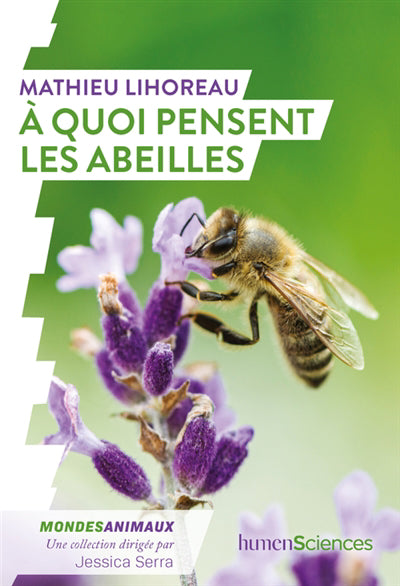 A QUOI PENSENT LES ABEILLES ?