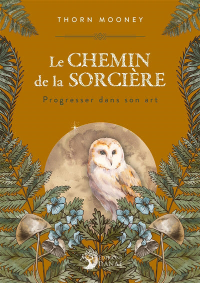 CHEMIN DE LA SORCIERE : PROGRESSER DANS SON ART