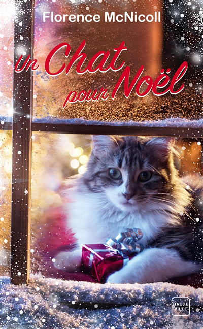 CHAT POUR NOEL