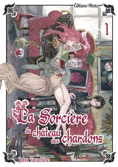 SORCIERE DU CHATEAU AUX CHARDONS T.01