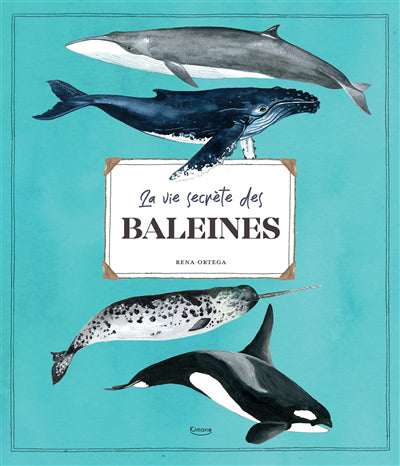 VIE SECRETE DES BALEINES