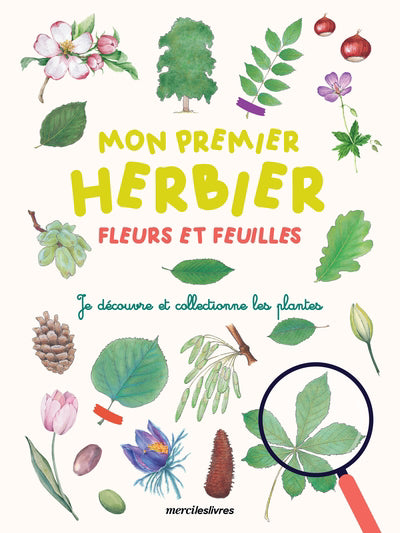 MON PREMIER HERBIER FLEURS ET FEUILLES