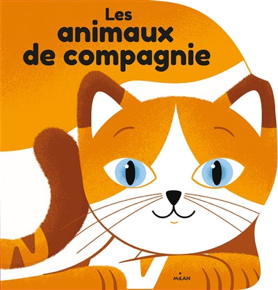 ANIMAUX DE COMPAGNIE