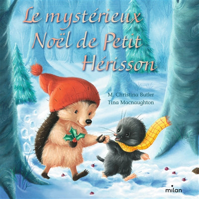 MYSTERIEUX NOEL DE PETIT HERISSON