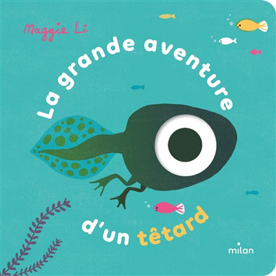 GRANDE AVENTURE D'UN TETARD