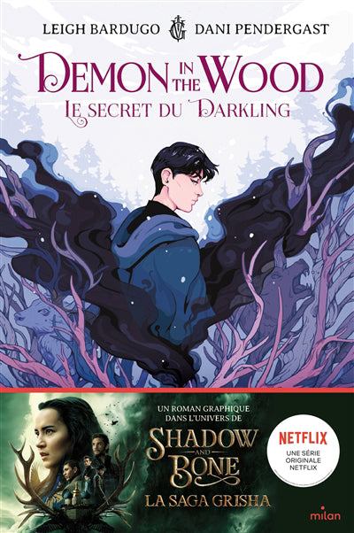 Demon in the wood : le secret du Darkling