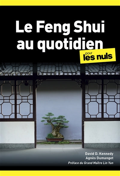 FENG SHUI AU QUOTIDIEN POUR LES NULS