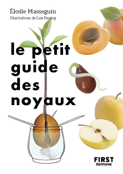 PETIT GUIDE DES NOYAUX