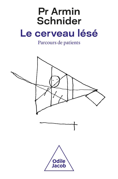 CERVEAU LESE  -PARCOURS DE PATIENTS