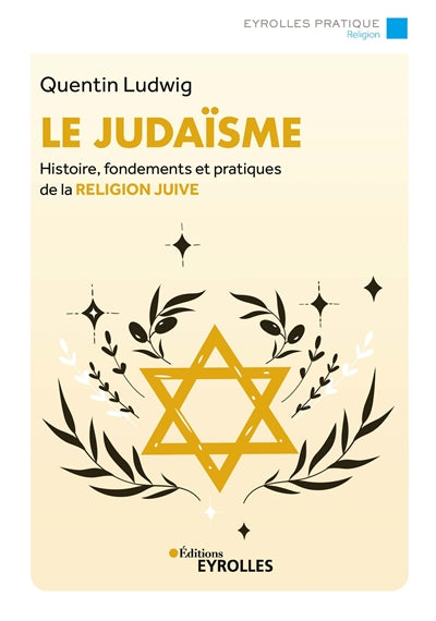 JUDAISME : HISTOIRE, FONDEMENTS ET PRATIQUES DE LA RELIGION