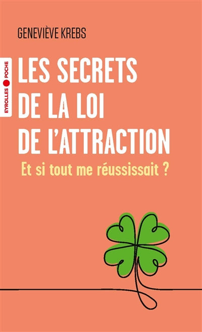 SECRETS DE LA LOI DE L'ATTRACTION : ET SI TOUT ME REUSSISSA