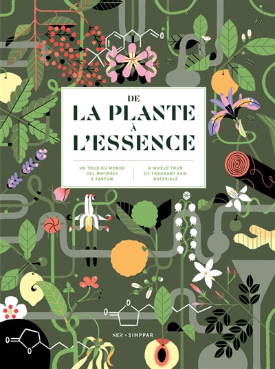 DE LA PLANTE A L'ESSENCE. UN TOUR DU MONDE DES MATIERES A PARFUM