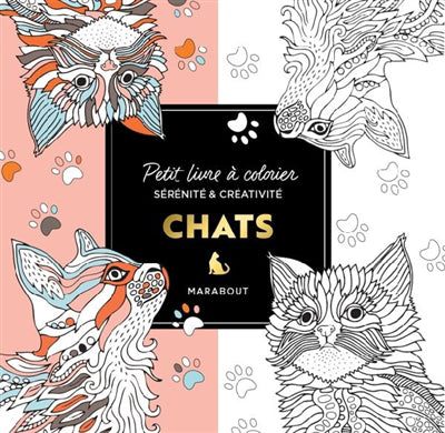 CHATS -PETIT LIVRE A COLORIER