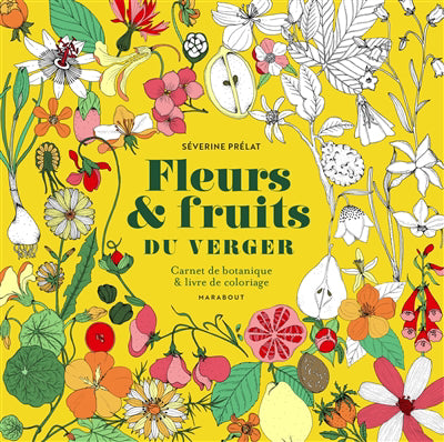 FLEURS ET FRUITS DU VERGER