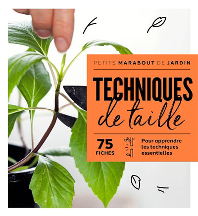 TECHNIQUES DE TAILLE