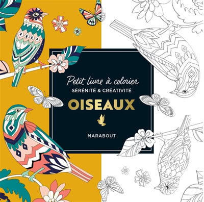 OISEAUX -PETIT LIVRE A COLORIER