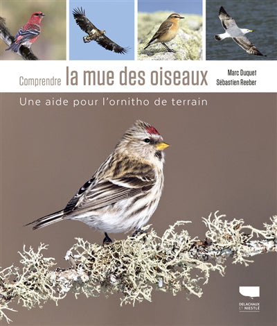 COMPRENDRE LA MUE DES OISEAUX - UNE AIDE POUR L'ORNITHO DE TERRAI