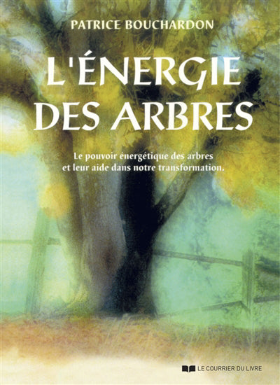 ENERGIE DES ARBRES