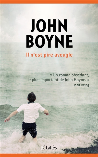 IL N'EST PIRE AVEUGLE